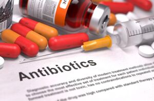 antibacterial drugs used to treat prostatitis
