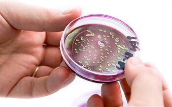 Bacteria in the secretion of the prostate